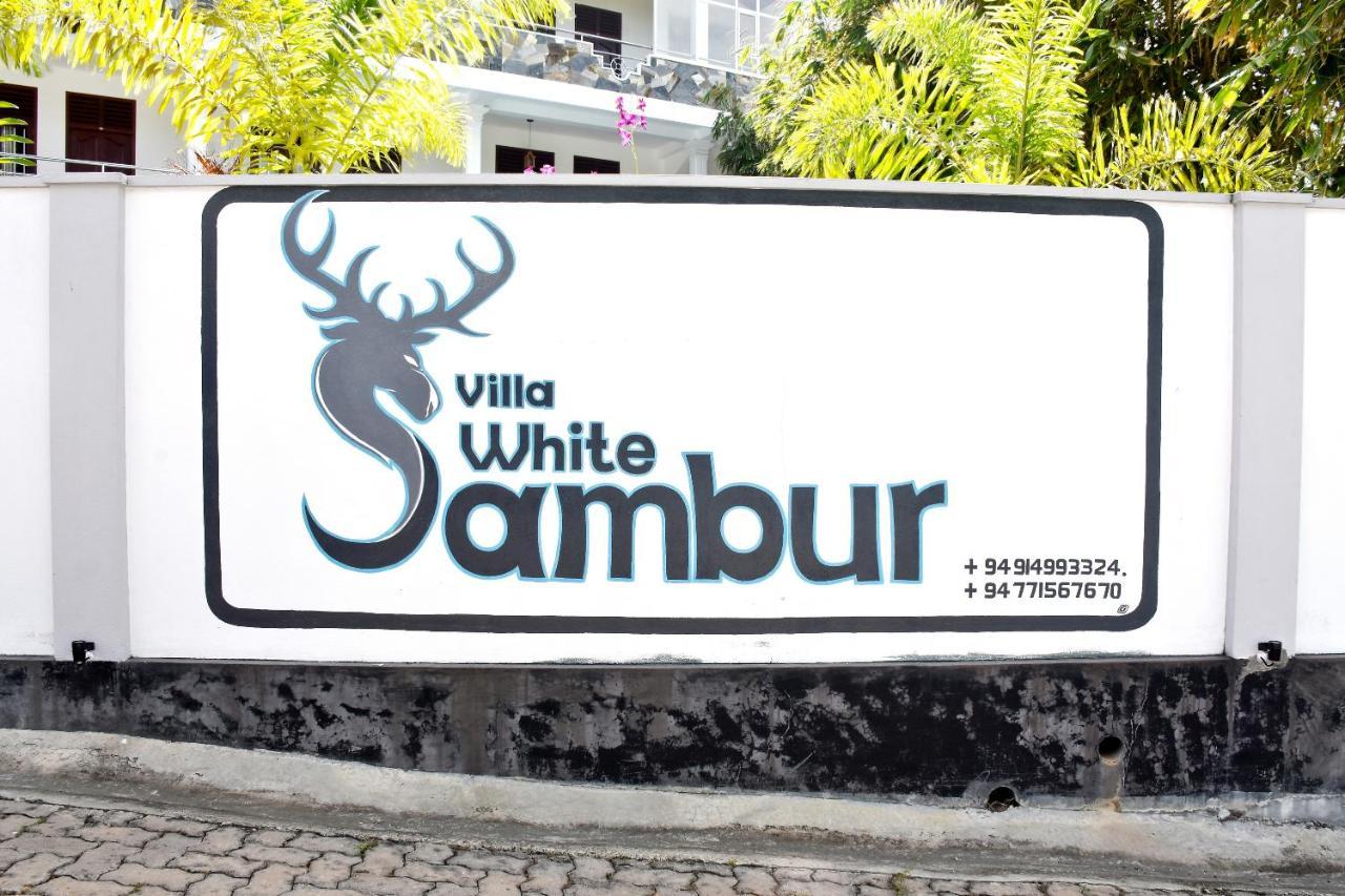 Villa De White Sambur Hikkaduwa Esterno foto