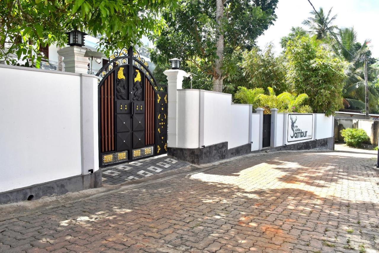 Villa De White Sambur Hikkaduwa Esterno foto